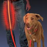 LED červené vodítko pre psa Nite Ize Nite Dawg 1,5m